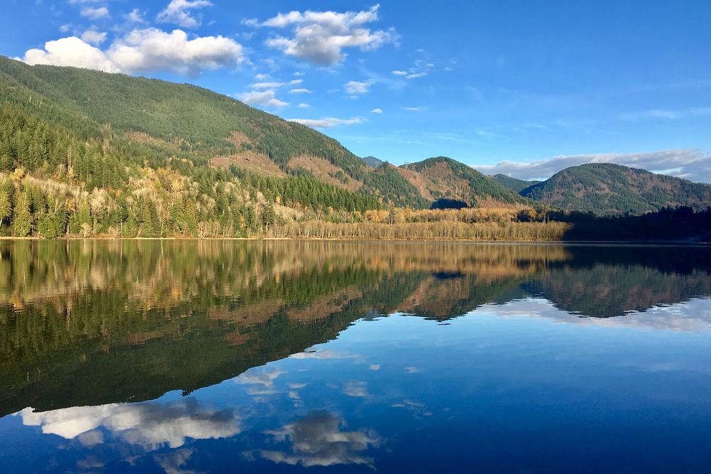 Sasquatch Provincial Park